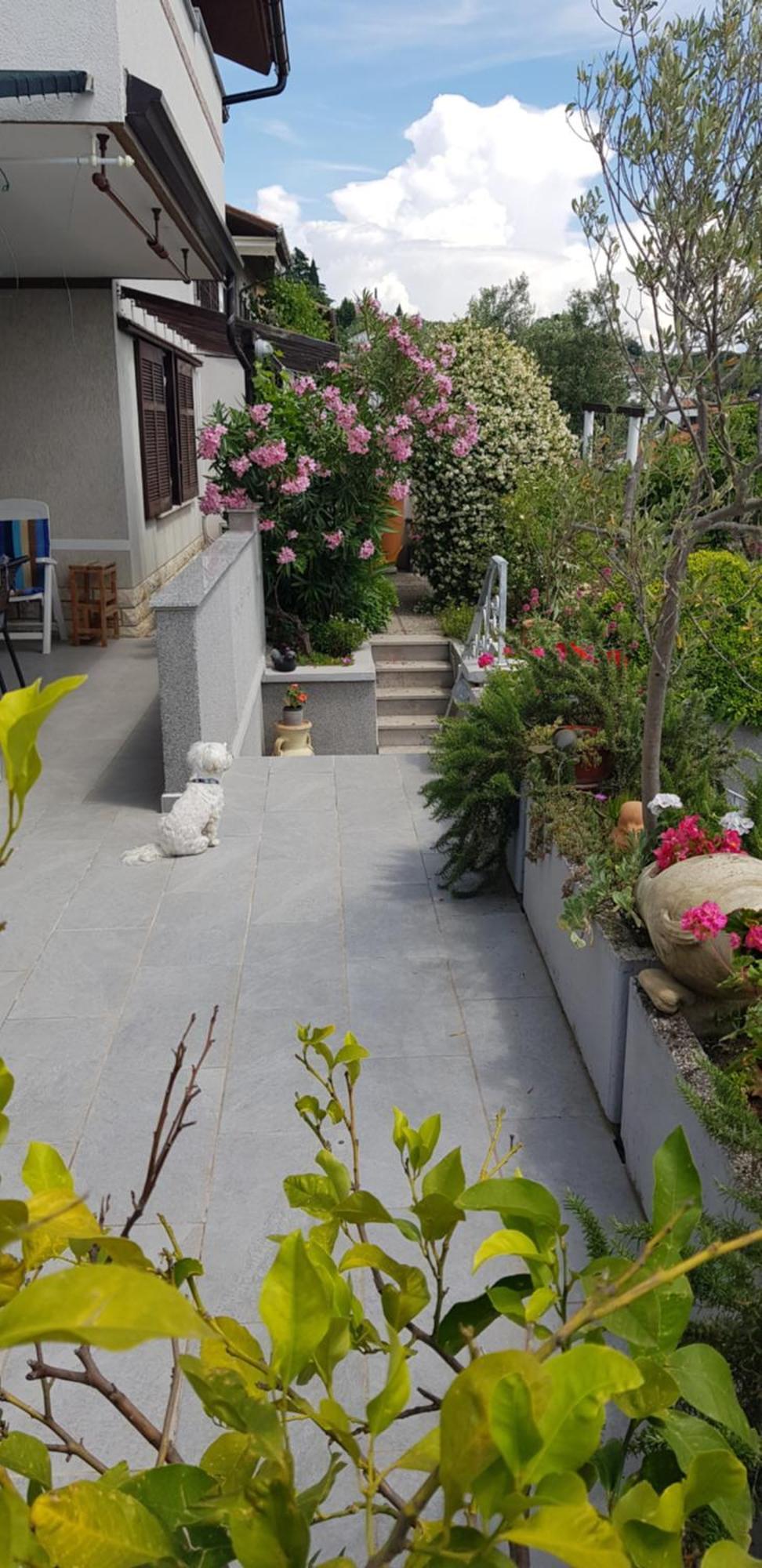 Appartamento Tramontana Lucija Esterno foto