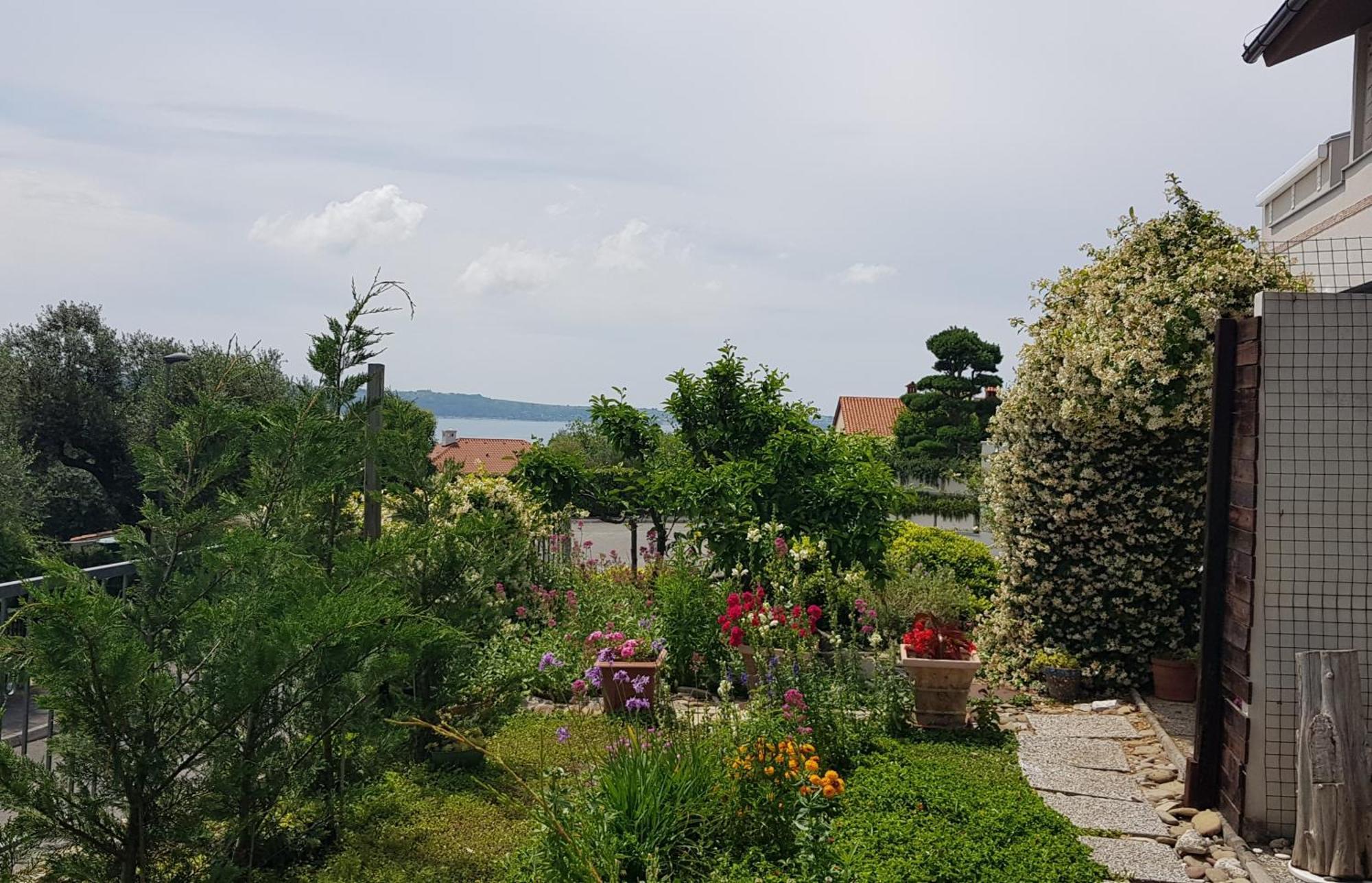 Appartamento Tramontana Lucija Esterno foto